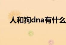 人和狗dna有什么不同（人和狗怎么搞）