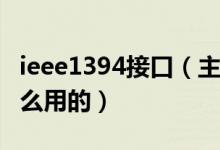 ieee1394接口（主板上IEEE1394接口是干什么用的）