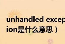 unhandled exception是什么意思（exception是什么意思）