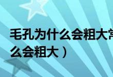 毛孔为什么会粗大常见的毛孔问题（毛孔为什么会粗大）