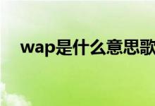 wap是什么意思歌词（wap是什么意思）