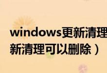 windows更新清理可以删除嘛（windows更新清理可以删除）