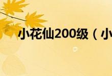 小花仙200级（小花仙送号100级女号）