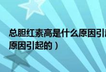 总胆红素高是什么原因引起的怎样治疗（总胆红素高是什么原因引起的）