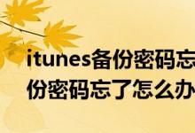 itunes备份密码忘了怎么找回来（itunes备份密码忘了怎么办）