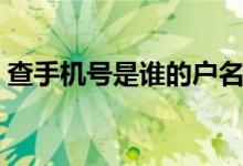 查手机号是谁的户名怎么查（查车牌号户名）