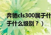 奔驰cls300属于什么级别车（奔驰cls300属于什么级别？）