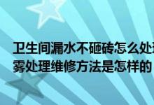 卫生间漏水不砸砖怎么处理及维修方法（双层玻璃窗中间起雾处理维修方法是怎样的）