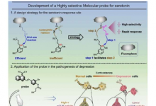 荧光探针揭示血清素在抑郁症中的作用机制