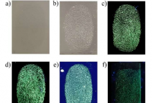 荧光纳米材料可以改变我们观察指纹的方式