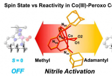 研究揭示钴(III)与腈的反应机理 为药物开发开辟途径
